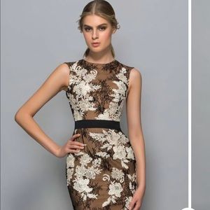 This dress is absolutely beautiful. But too small